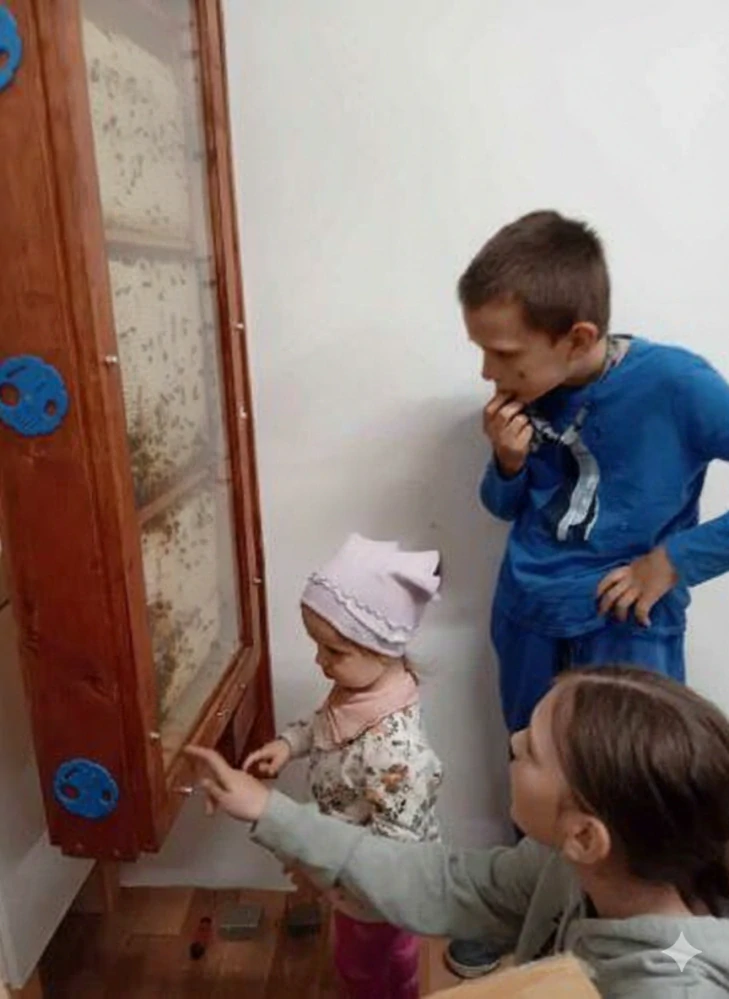 Presklený pozorovací úľ -  observatórium