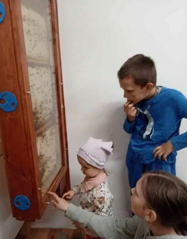 Pozorovanie včiel deťmi cez presklený pozorovací úľ