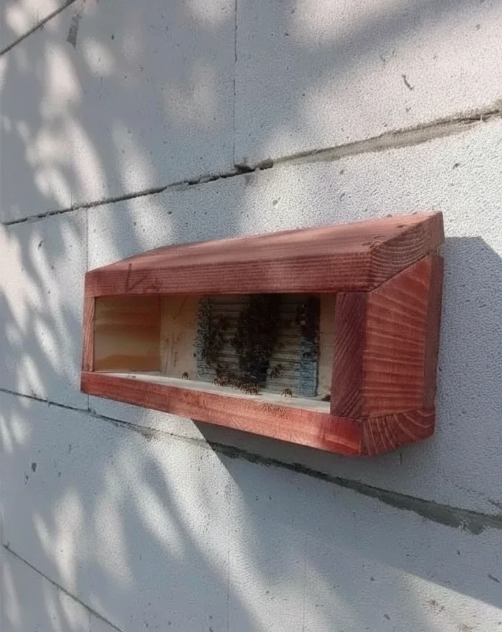 Vonkajší výletový otvor pre presklený pozorovací úľ na fasáde
