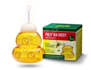 Pasca na osy závesná